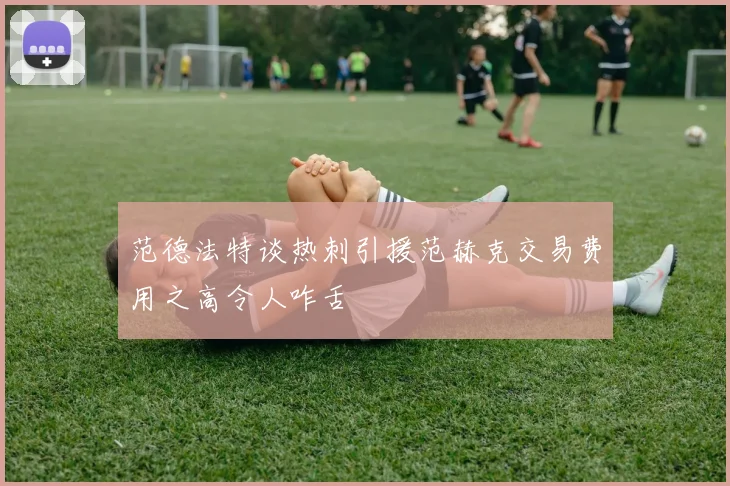 范德法特谈热刺引援范赫克交易费用之高令人咋舌